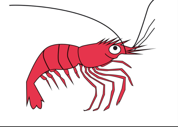 langostino