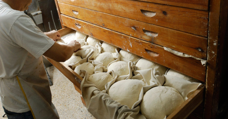 Proceso de fermentación