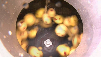 peladora industrial para patatas