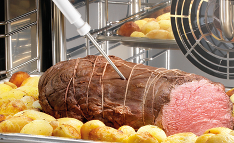 sonda de temperatura